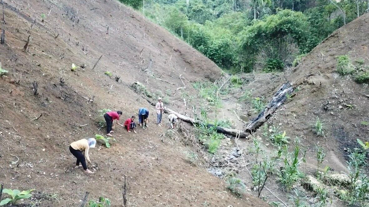 Taman Nasional Meratus: Konservasi atau Ancaman bagi Masyarakat Adat?