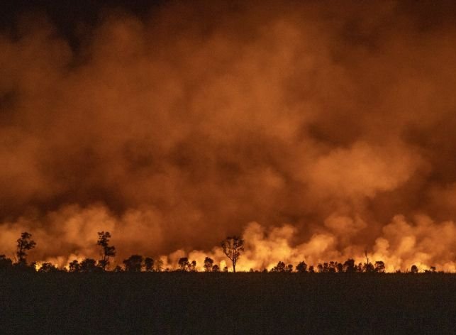KLH Awasi 38 Perusahaan terkait Kebakaran Lahan