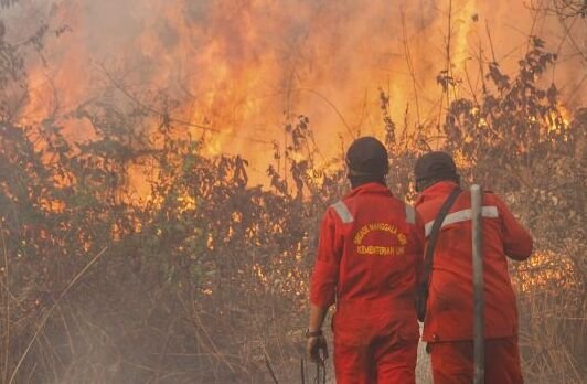 Pembakaran Lahan, Menteri Hanif: Kejahatan Lingkungan Berat