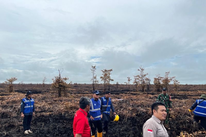 KLH Segel Lahan Terbakar Seluas 200 Hektare di Kalbar